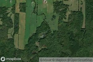 Beaver Pond Brook