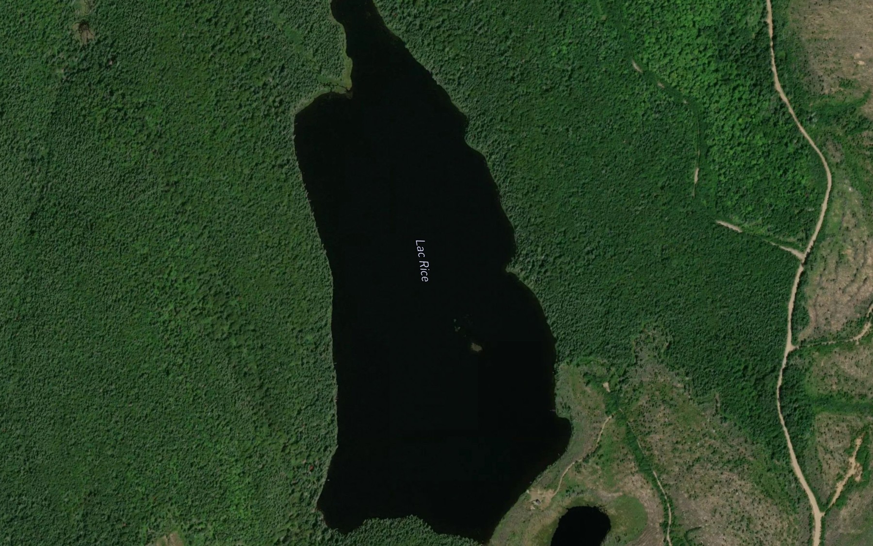 Satellite map of the Lac Rice