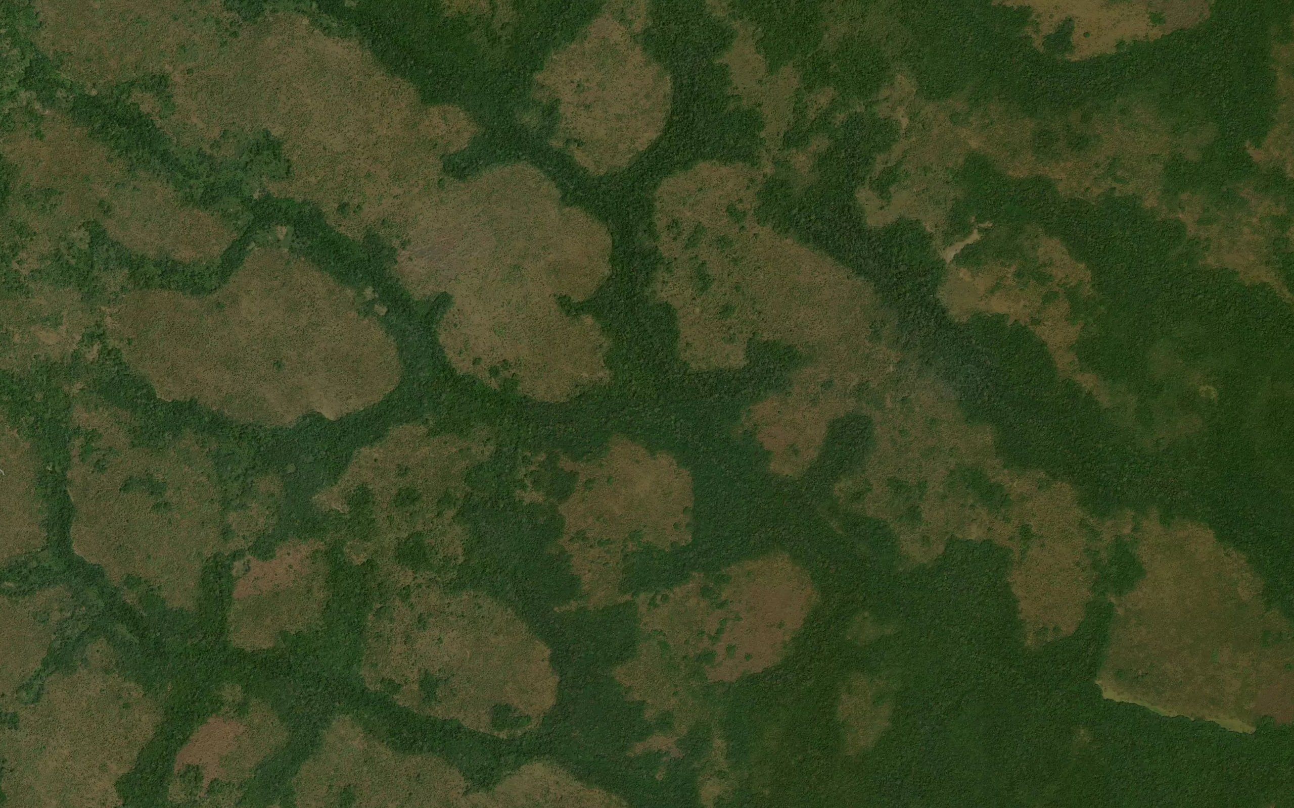 Nabaranga