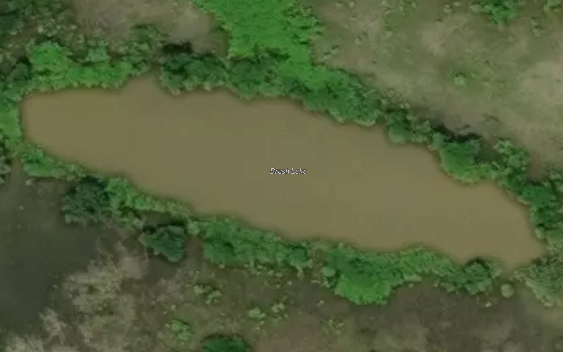 Satellite map of the Brush Lake