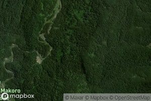 Te Punaotehouhi Stream