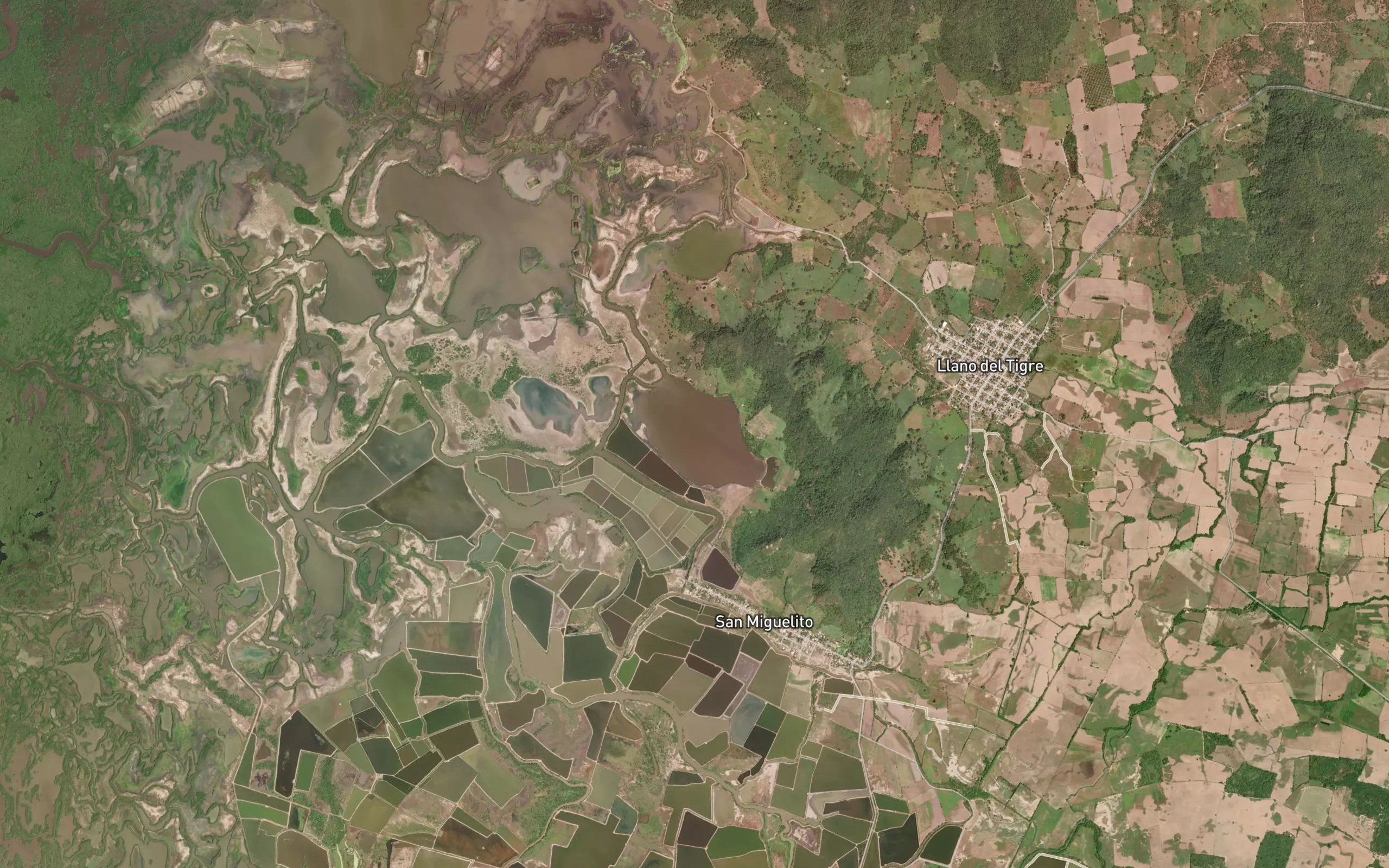 Laguna Los Pericos