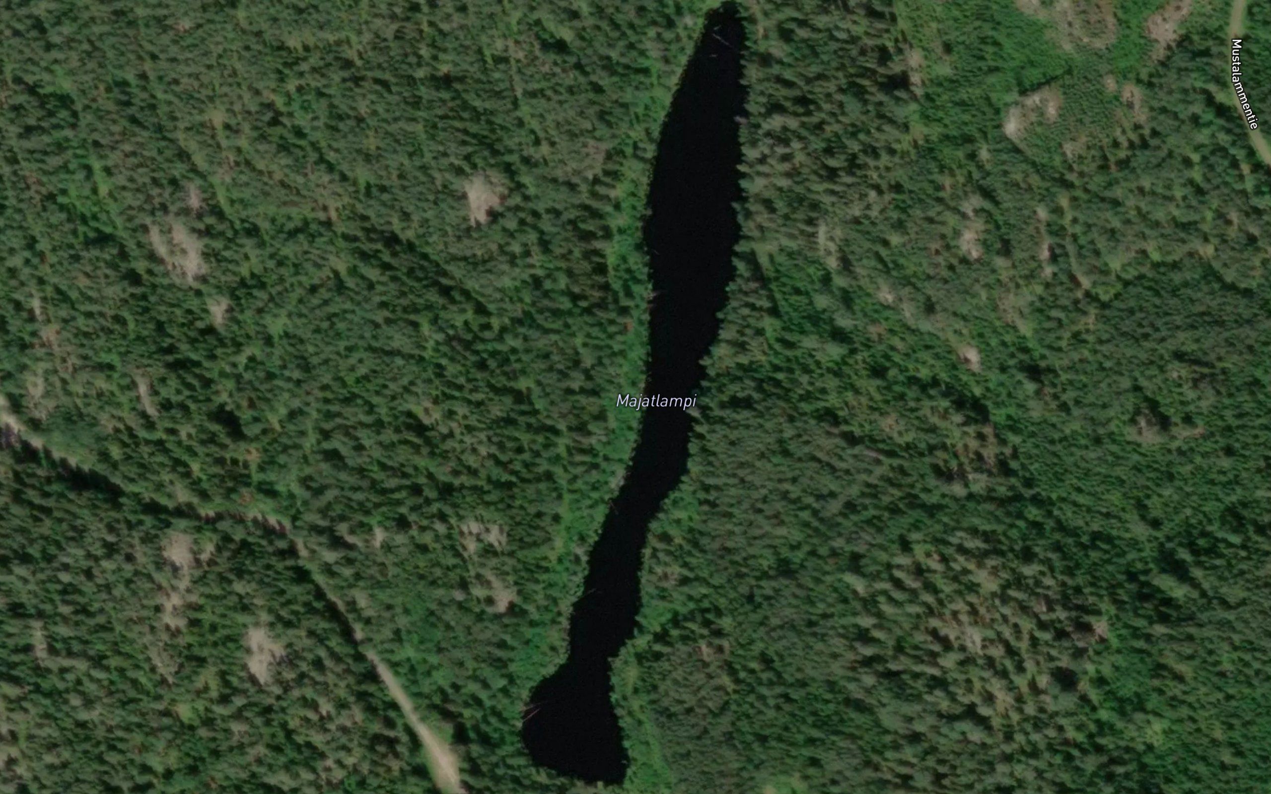Majatlampi
