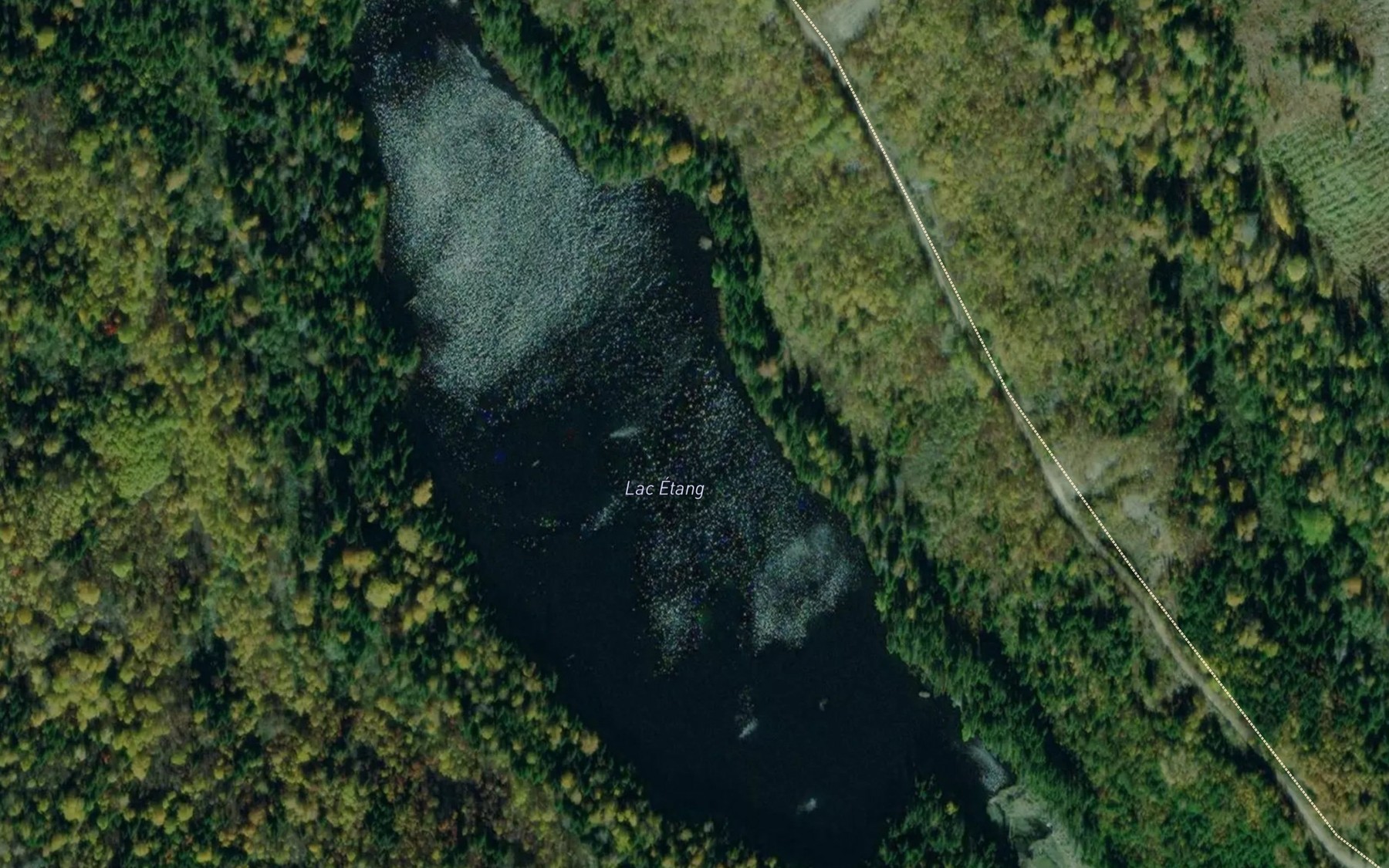 Satellite map of the Lac Etang