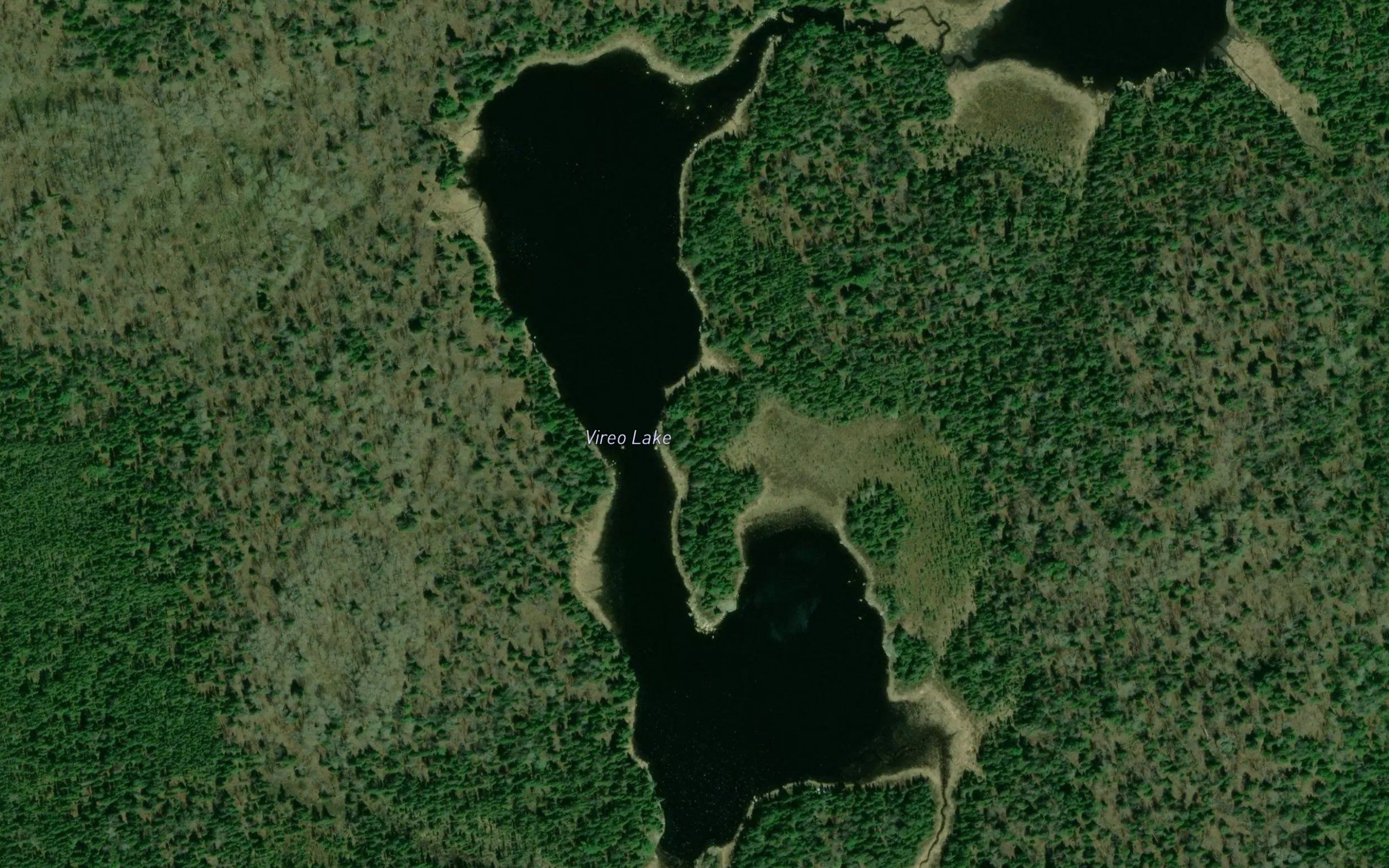 Vireo Lake
