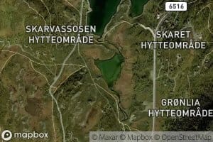 Skardtjonna