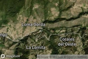 Quebrada El Arbolito