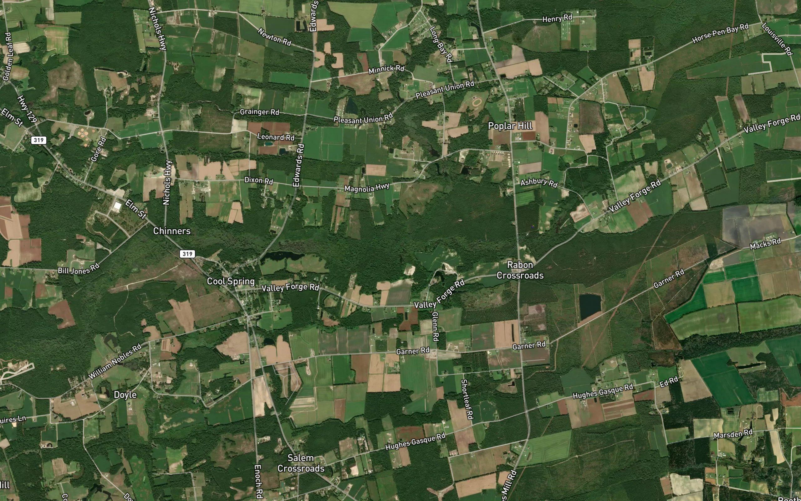 North Prong Chinners Swamp