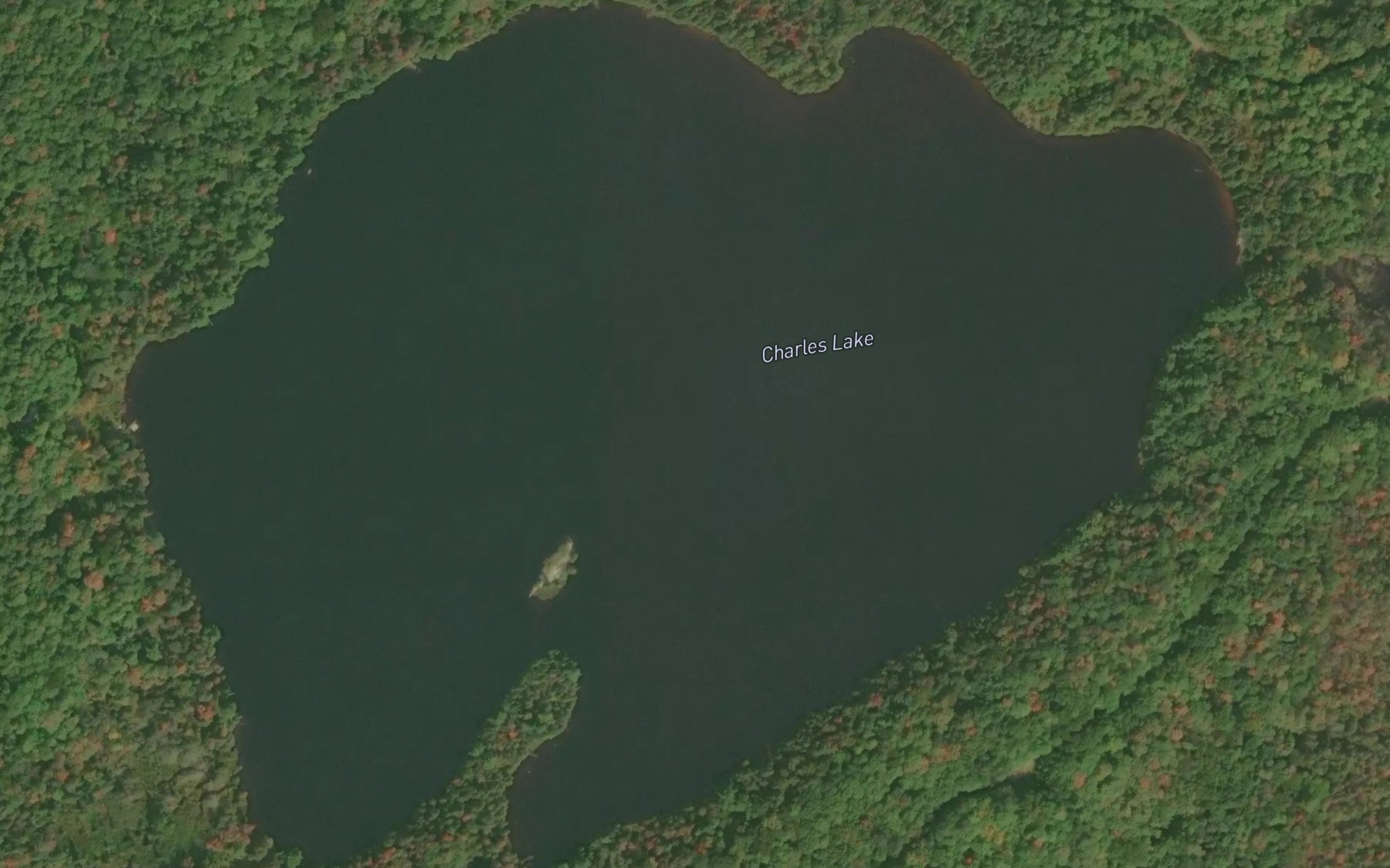 Satellite map of the Charles Lake
