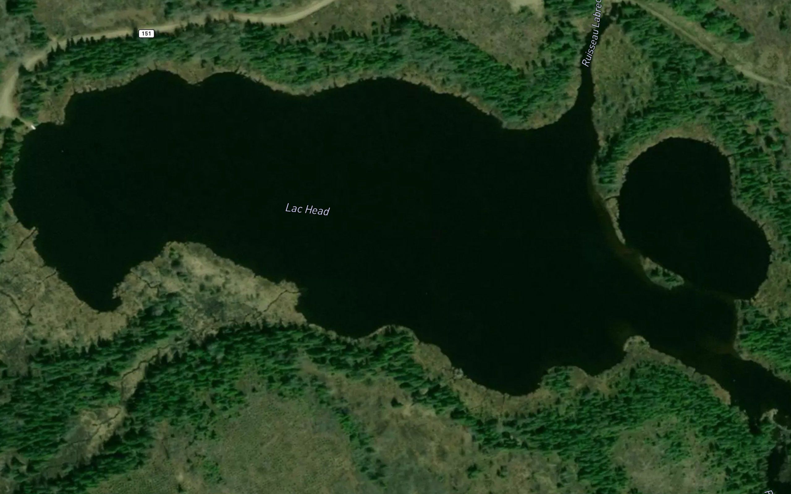 Lac Head