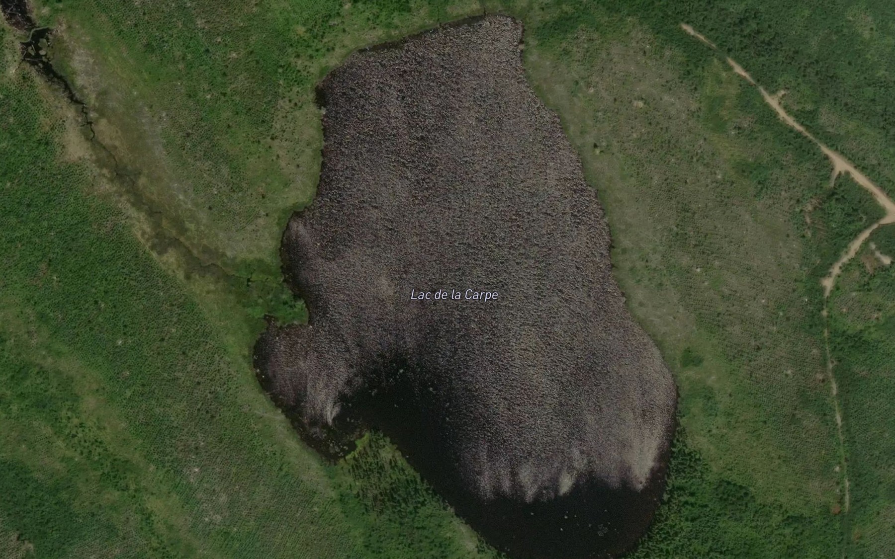 Satellite map of the Lac de la Carpe