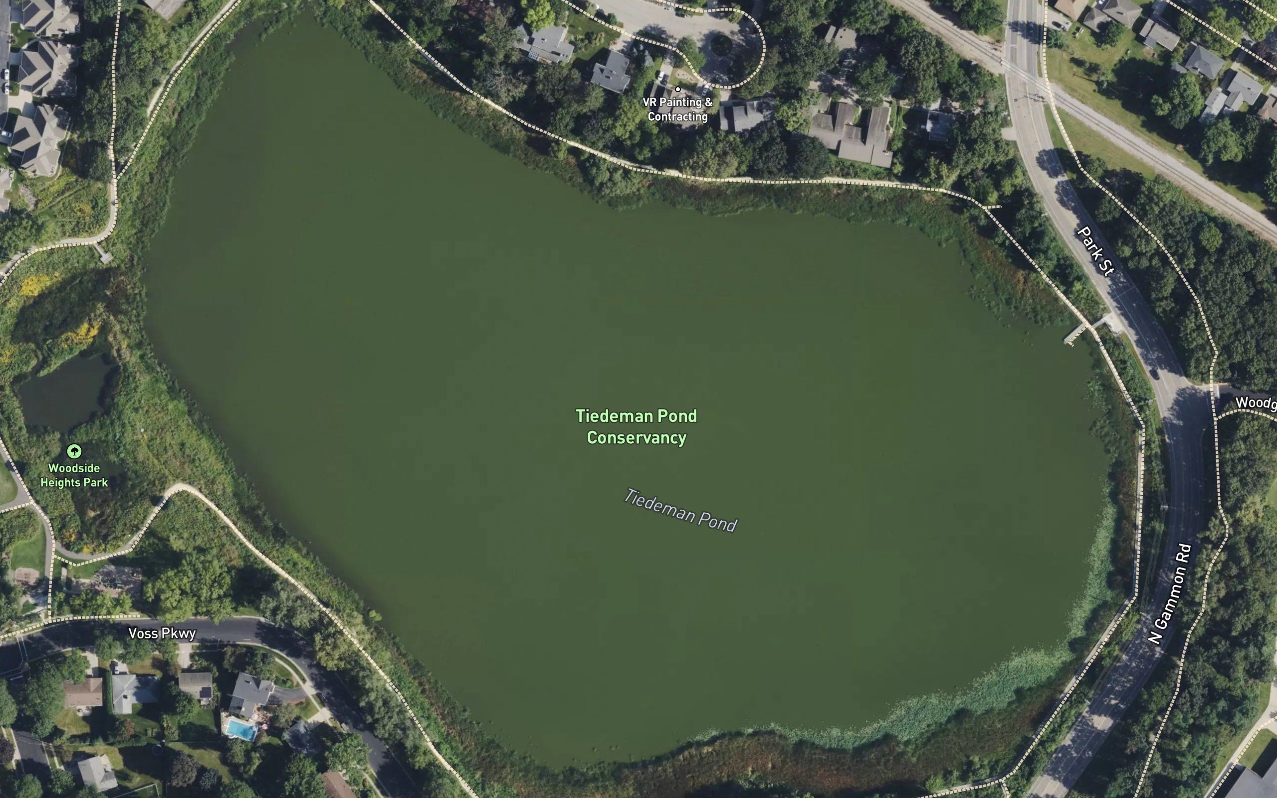 Tiedemans Pond