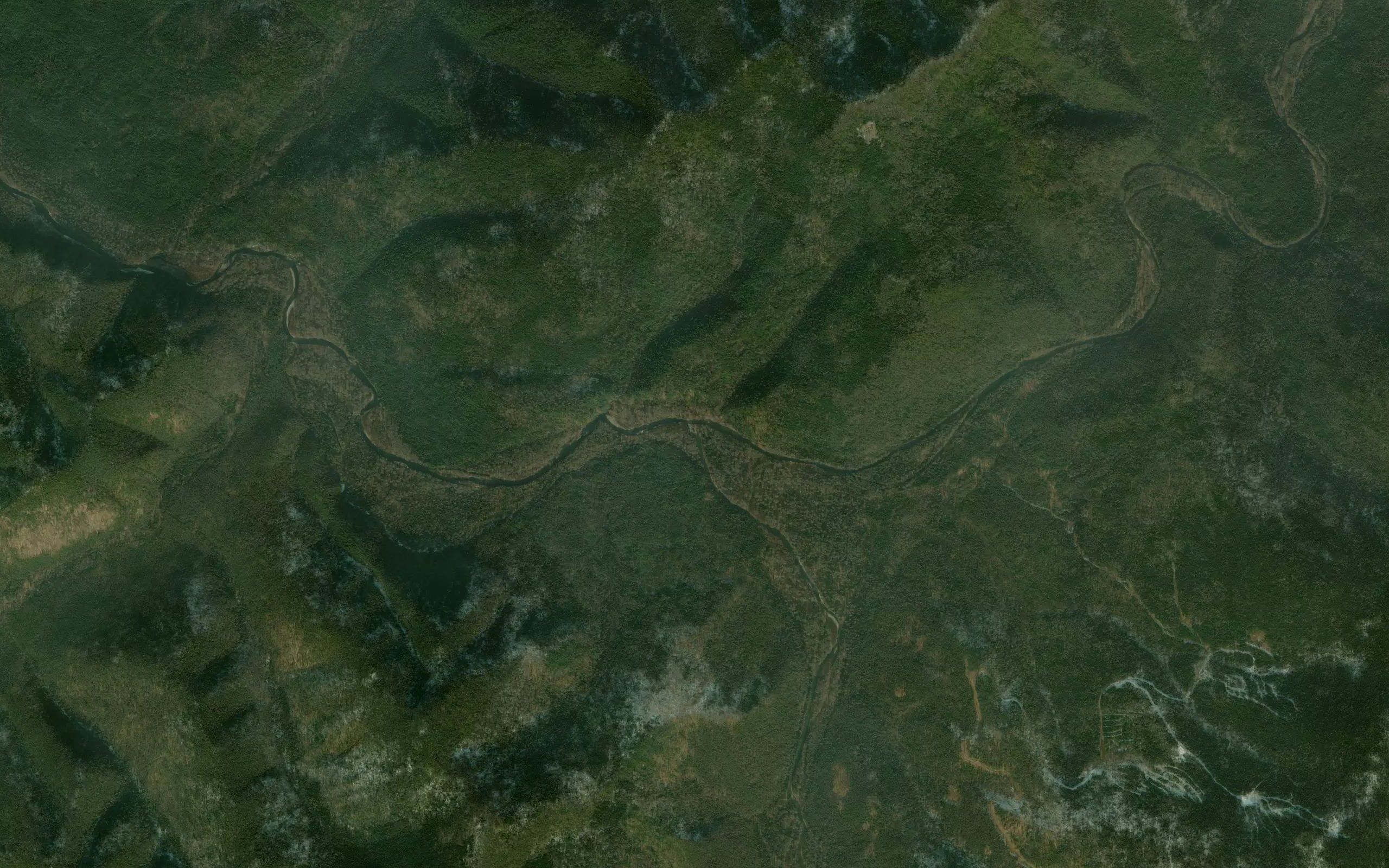 Levaya Chui