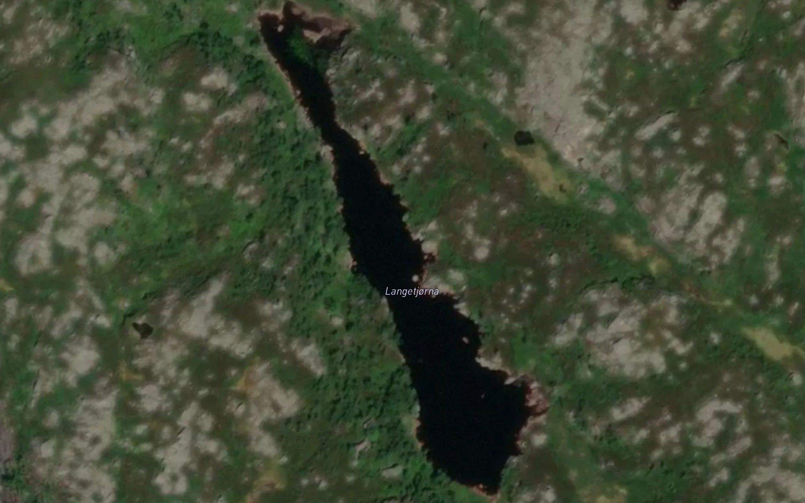 Langetjorna