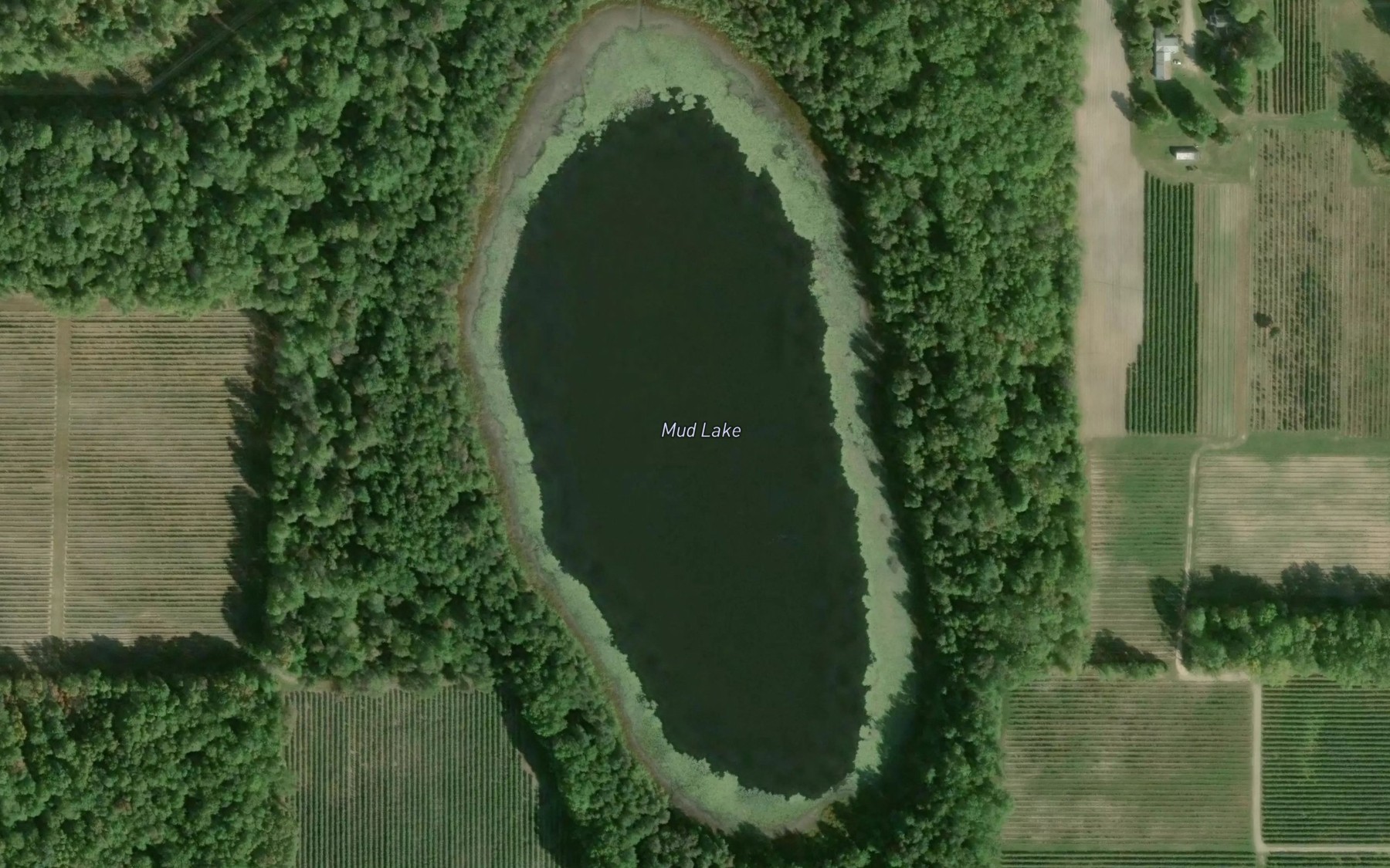 Satellite map of the Mud Lake