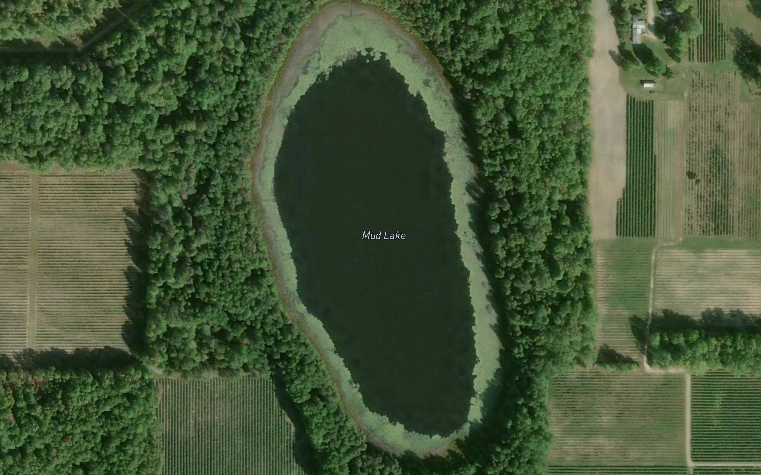 Mud Lake