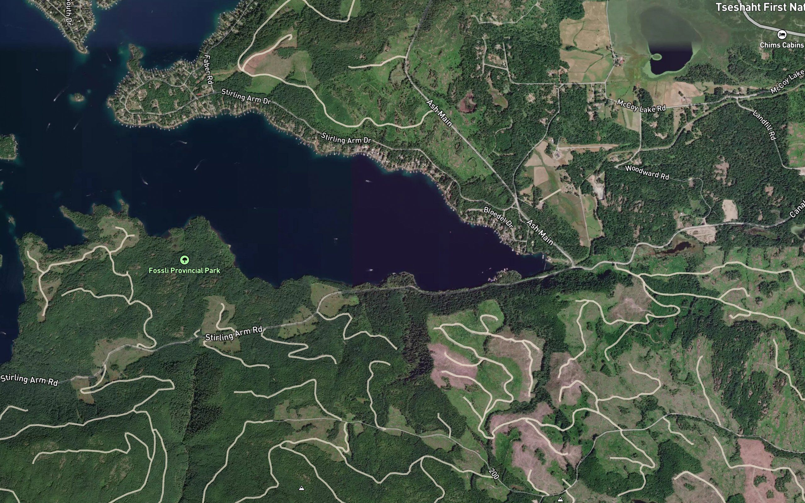 Stirling Arm
