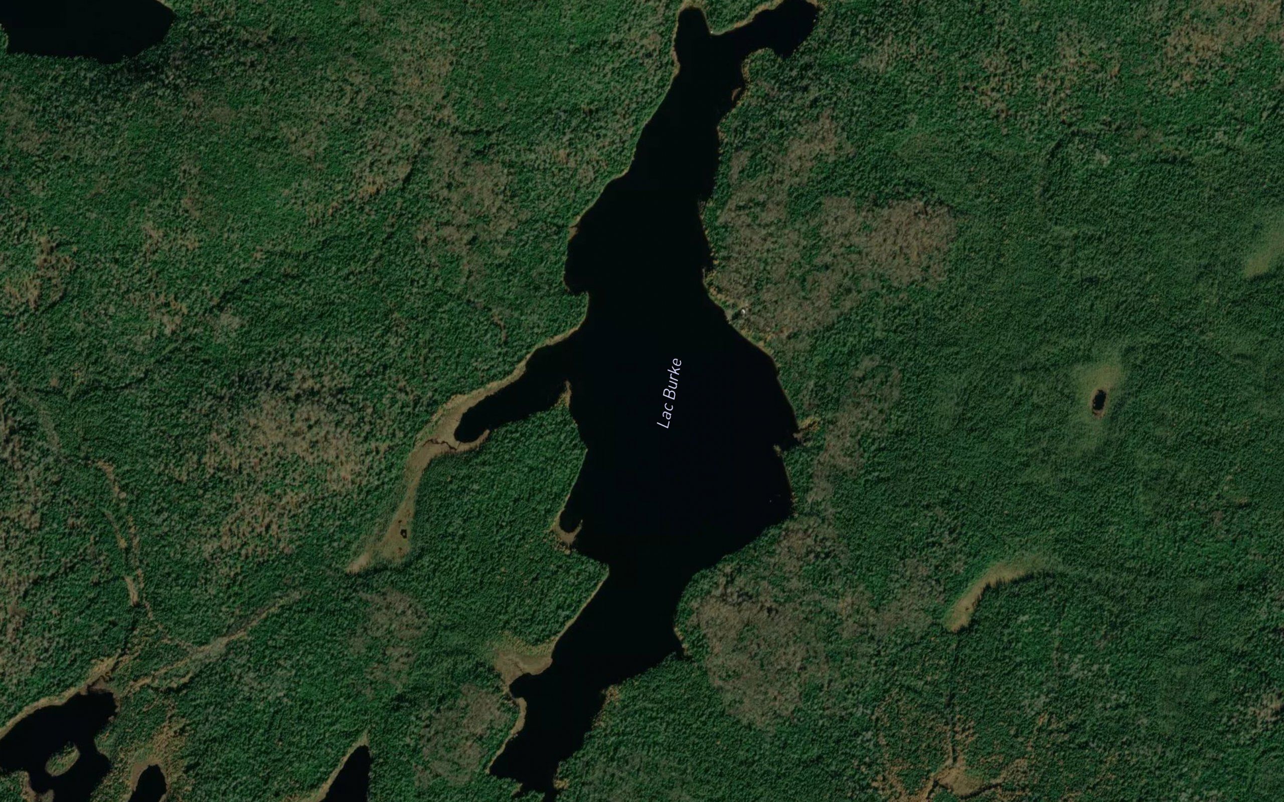 Lac Burke