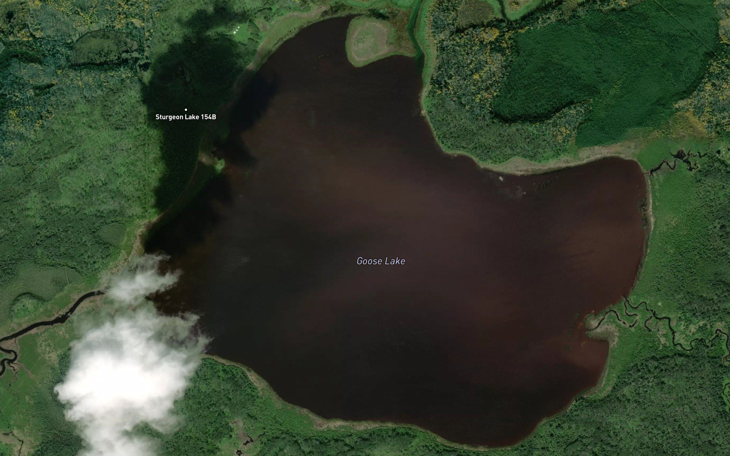 Goose Lake