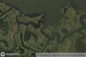 Coffee Bayou