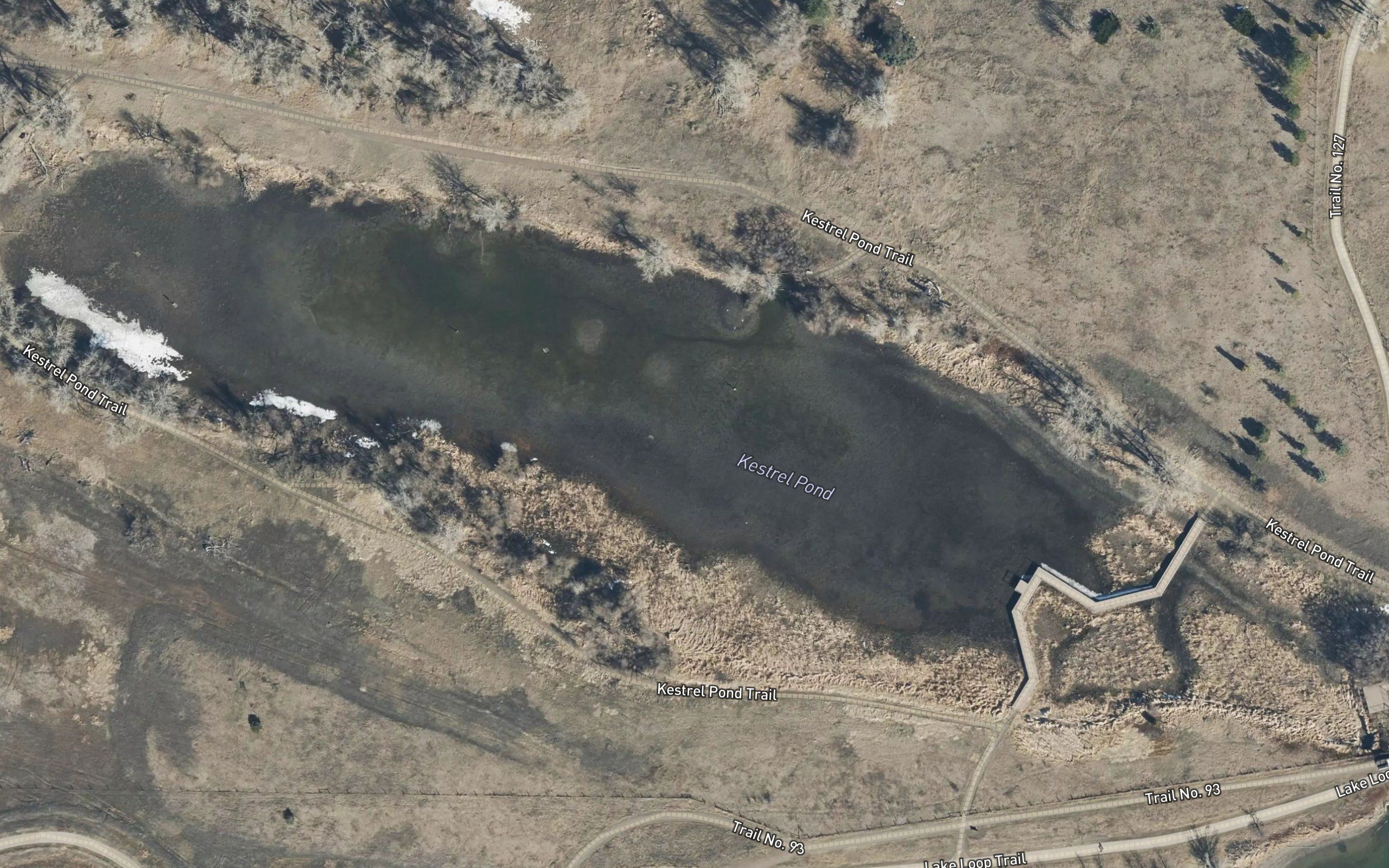 Kestrel Pond