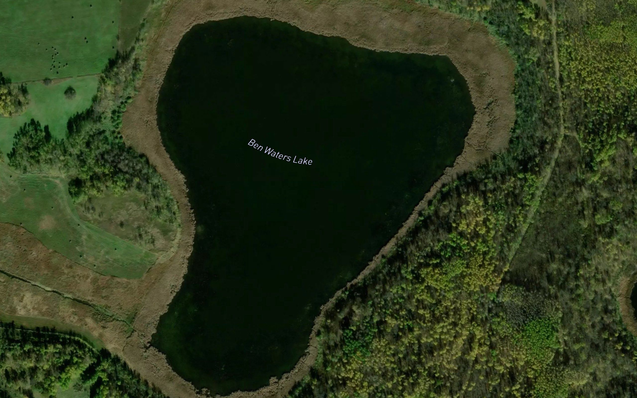 Ben Waters Lake