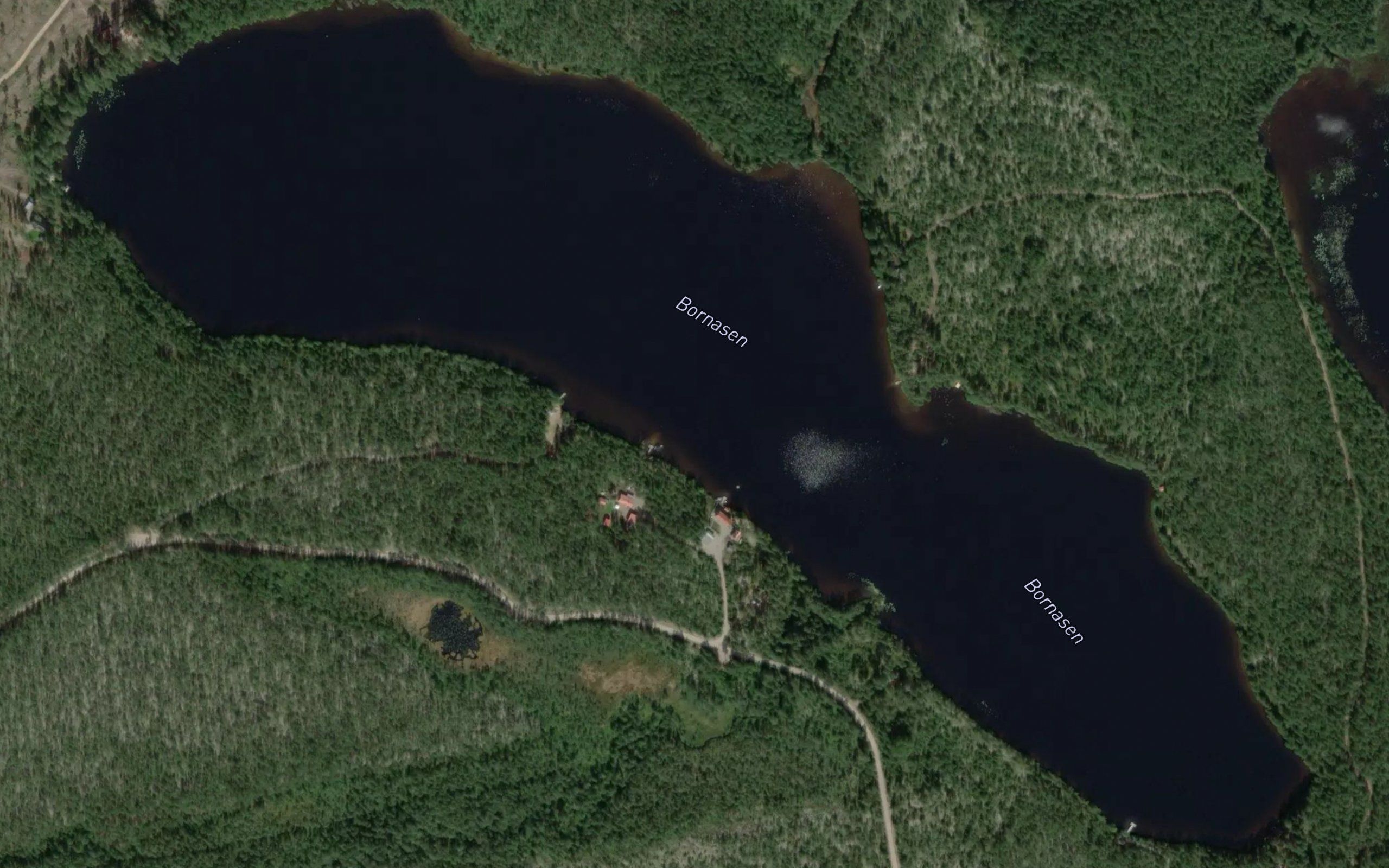 Bornasen
