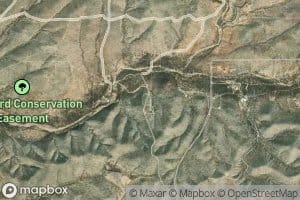Coyote Spring