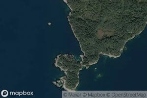 Avloypevika