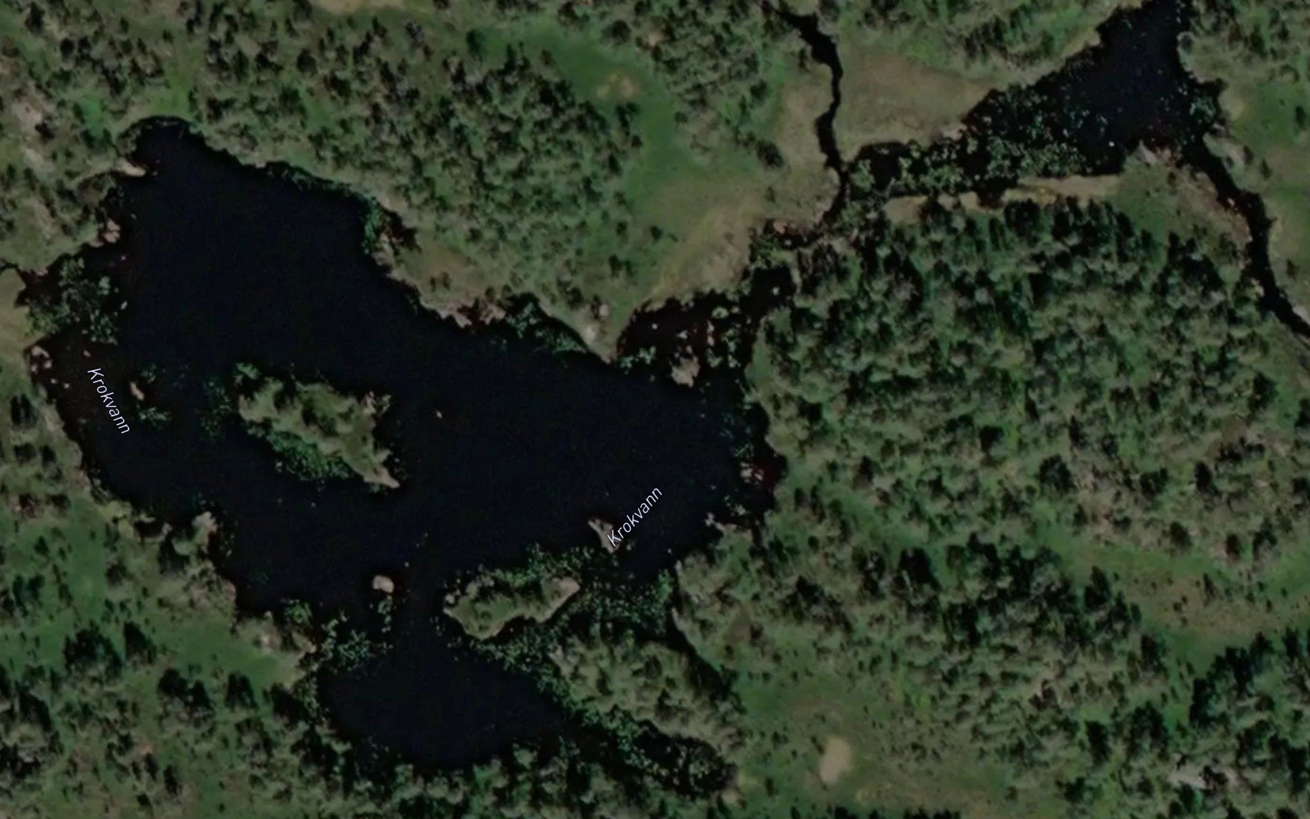 Krokvann
