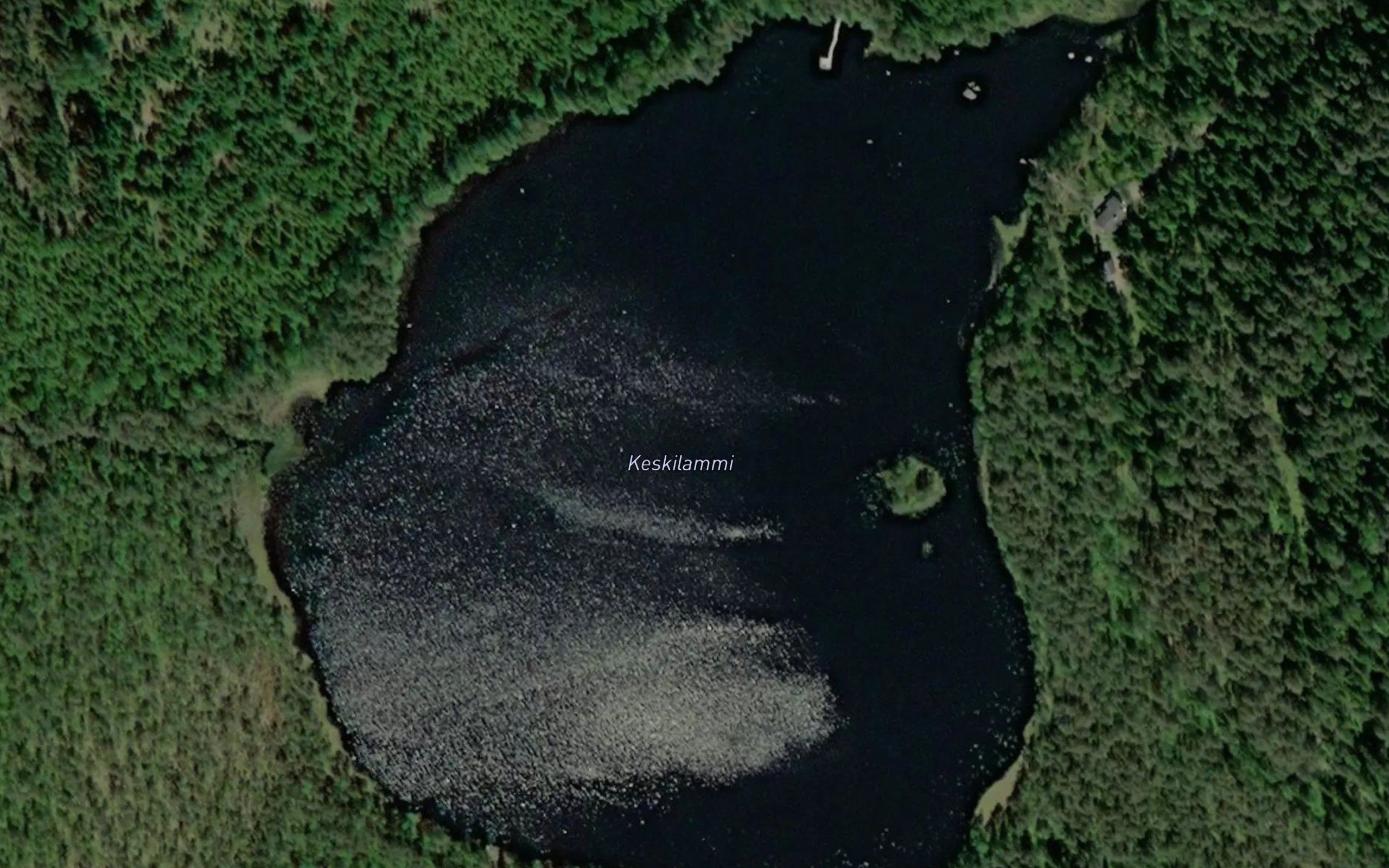 Keskilammi