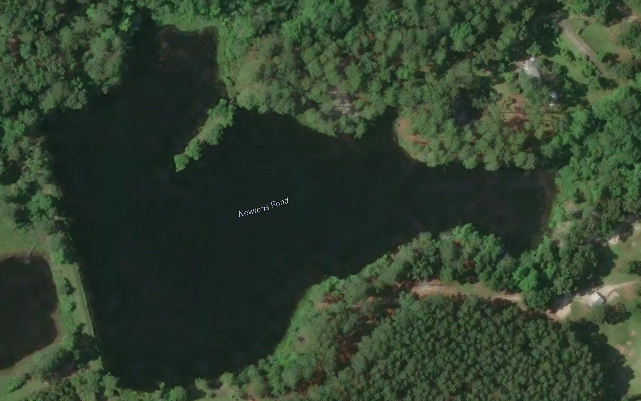 Newtons Pond