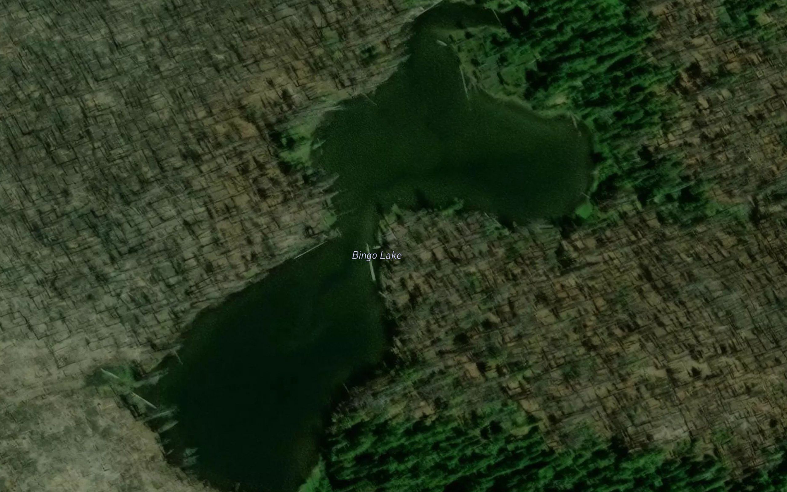 Bingo Lake