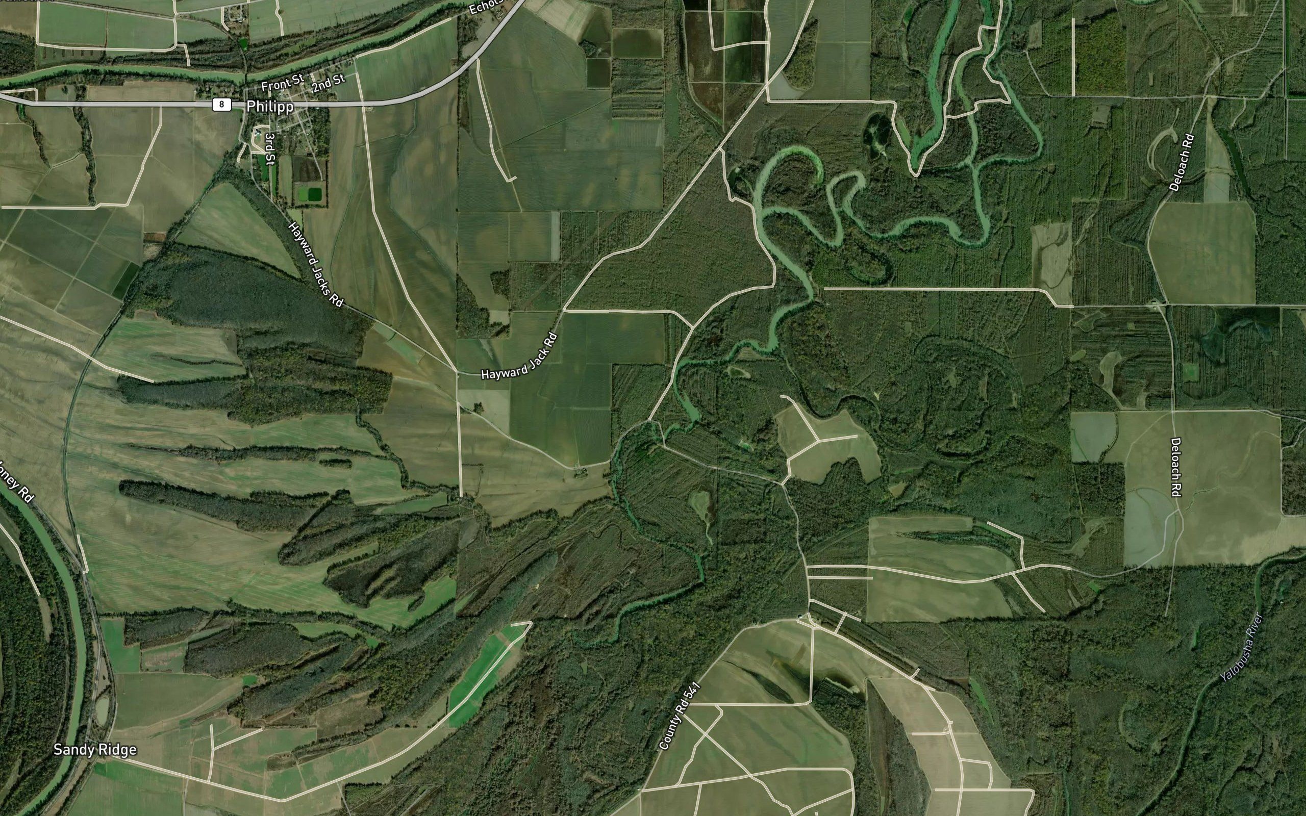 Trout Lake