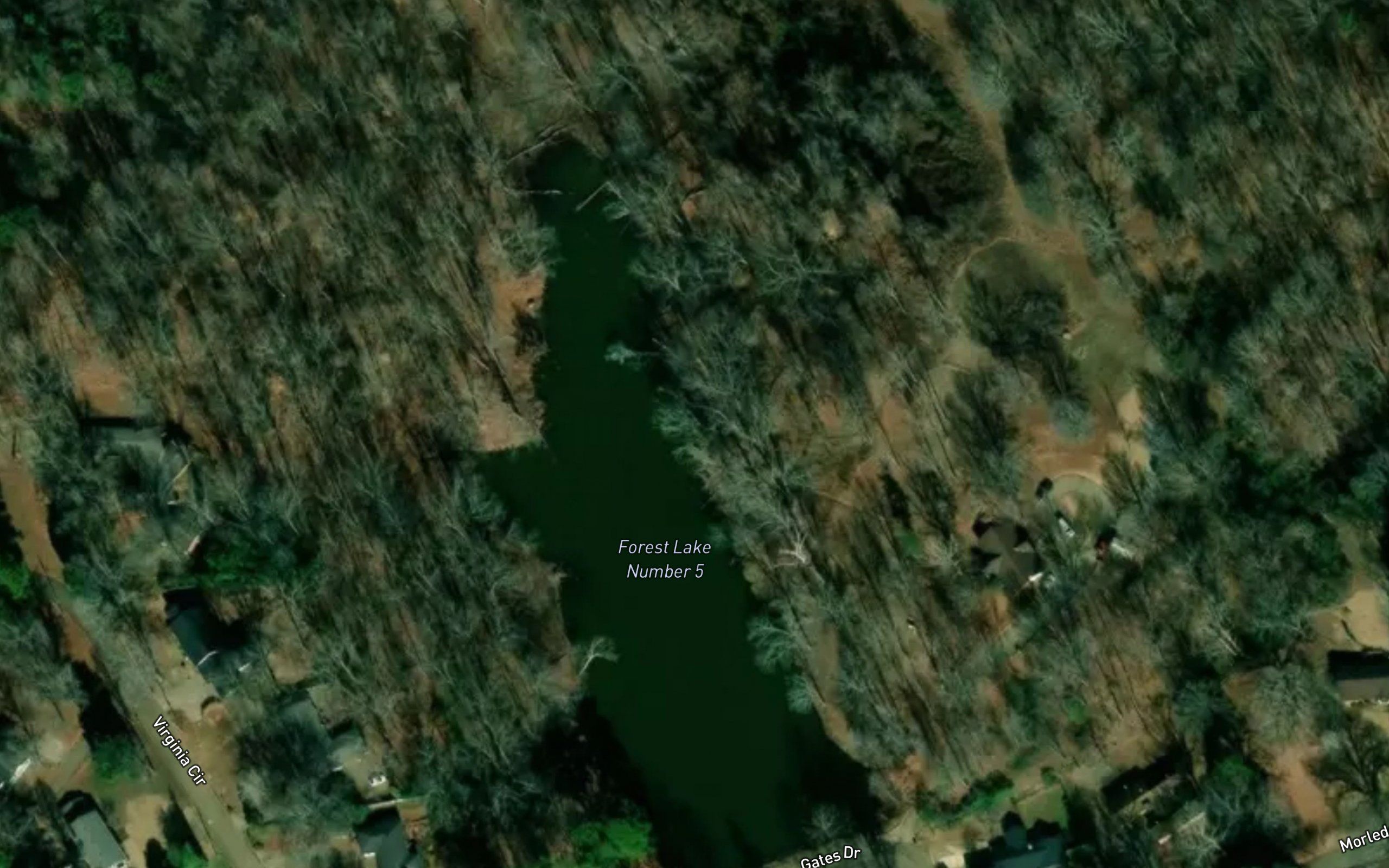 Forest Lake Number 5