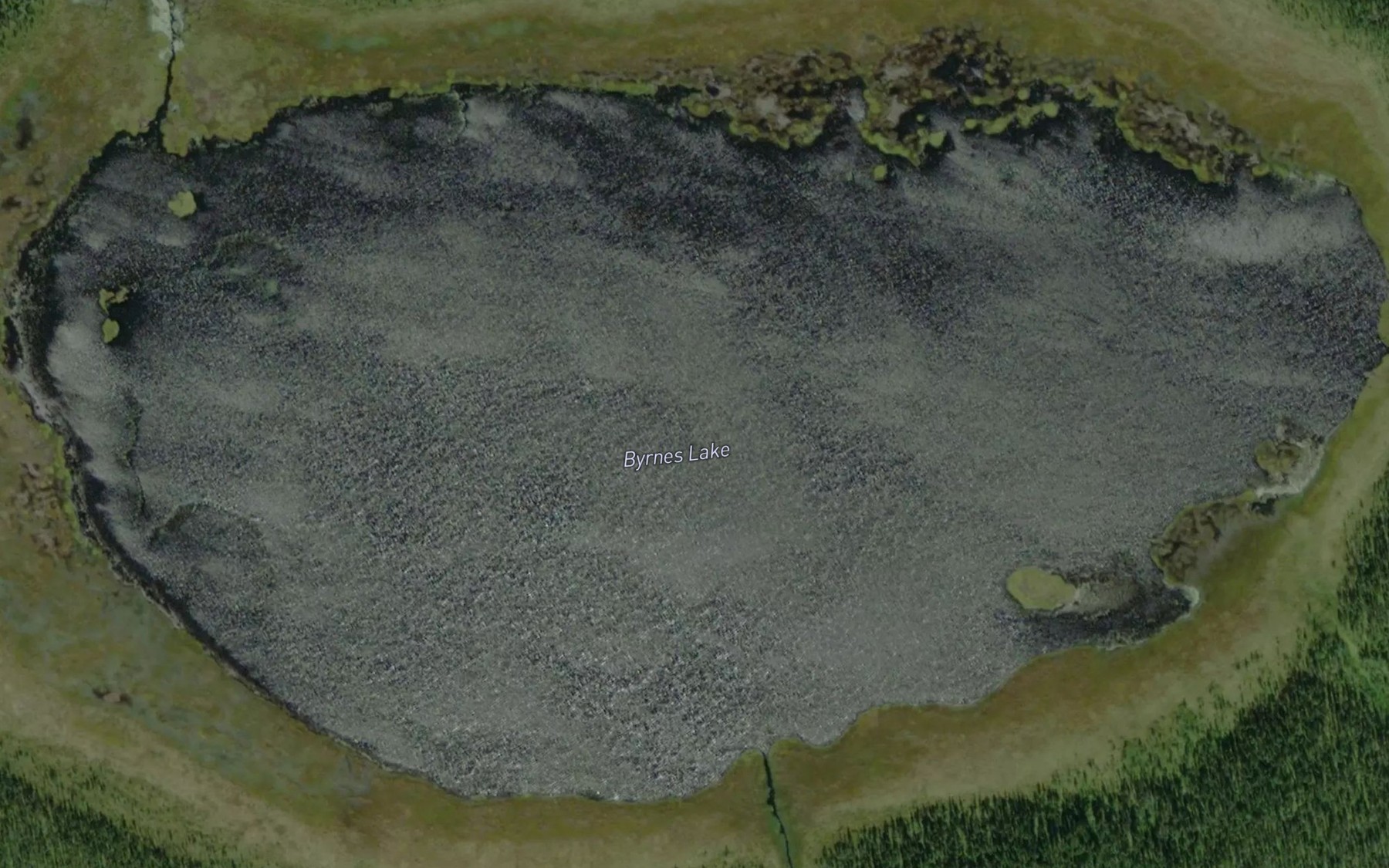 Satellite map of the Byrnes Lake