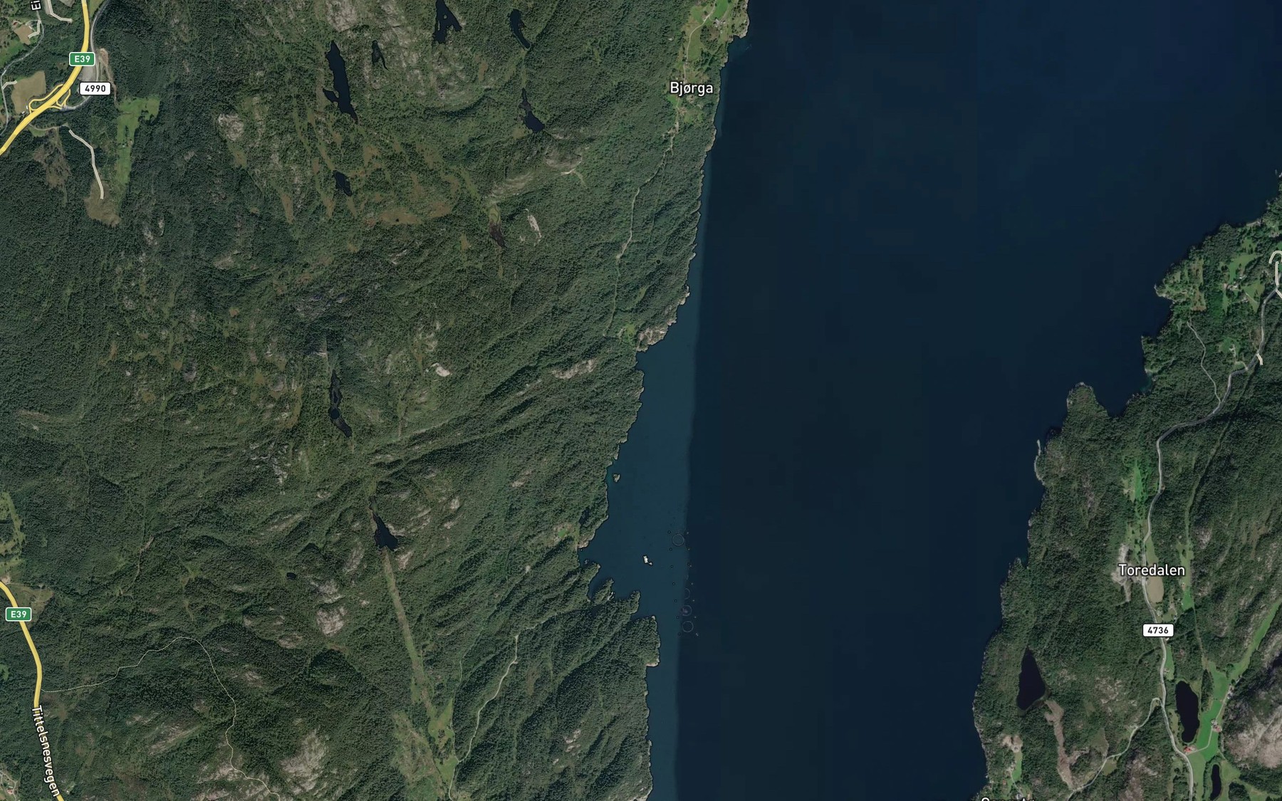 Satellite map of the Kransevika