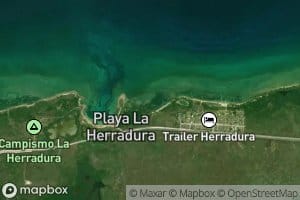 Ensenada Mangle Prieto