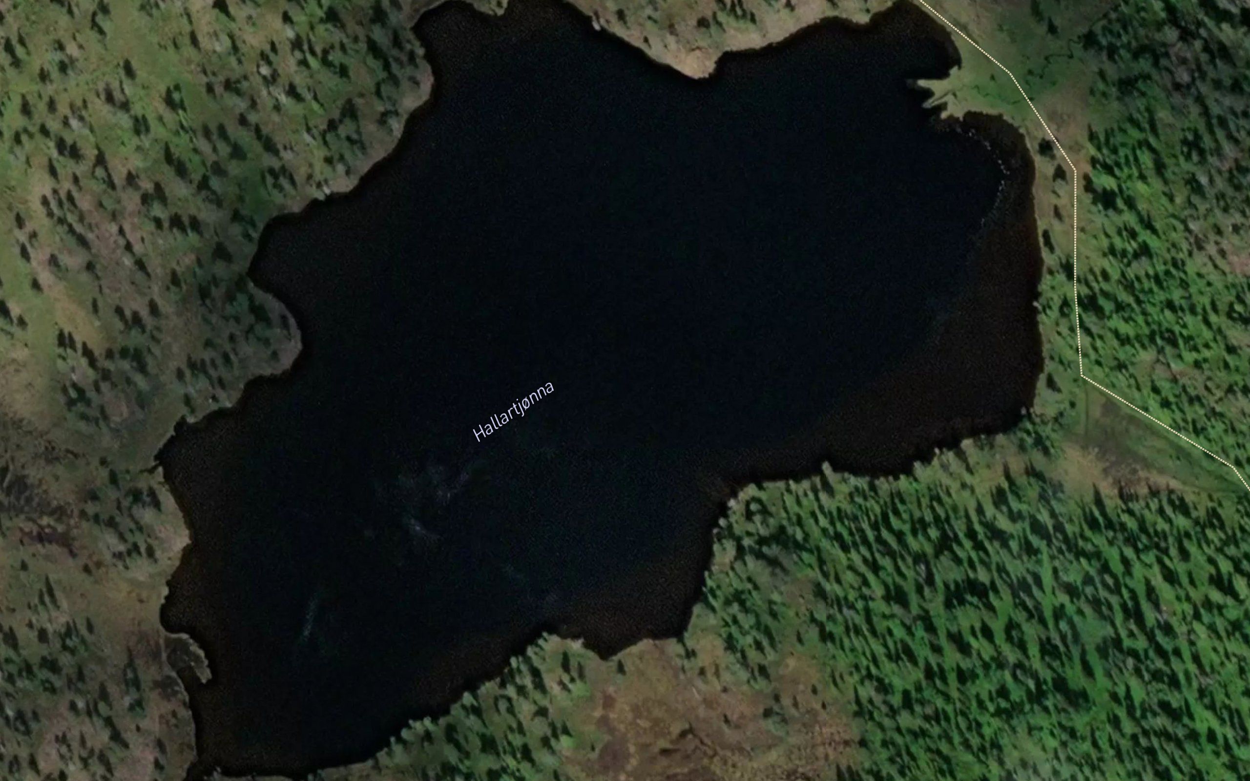 Hallartjorna
