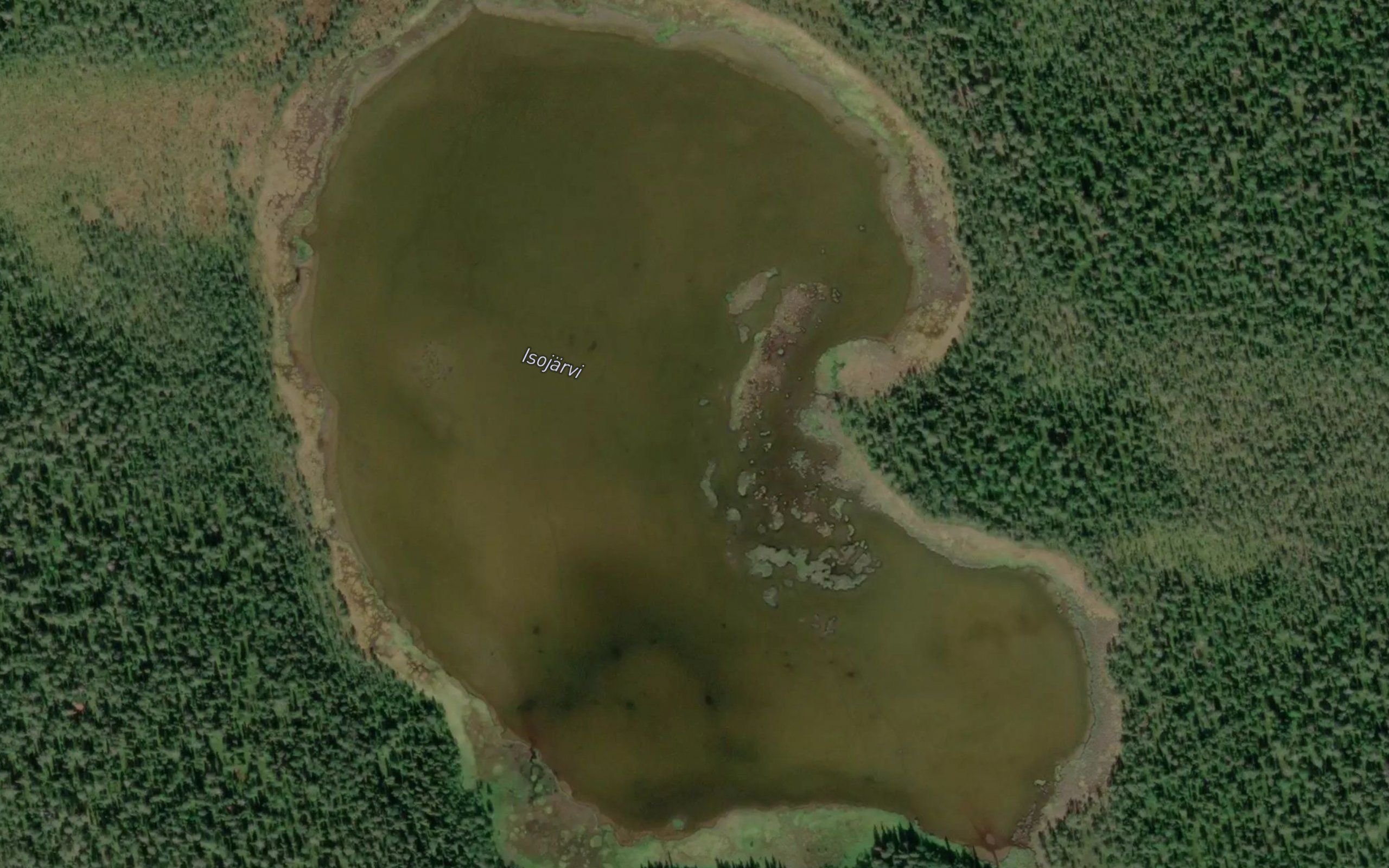 Isojarvi