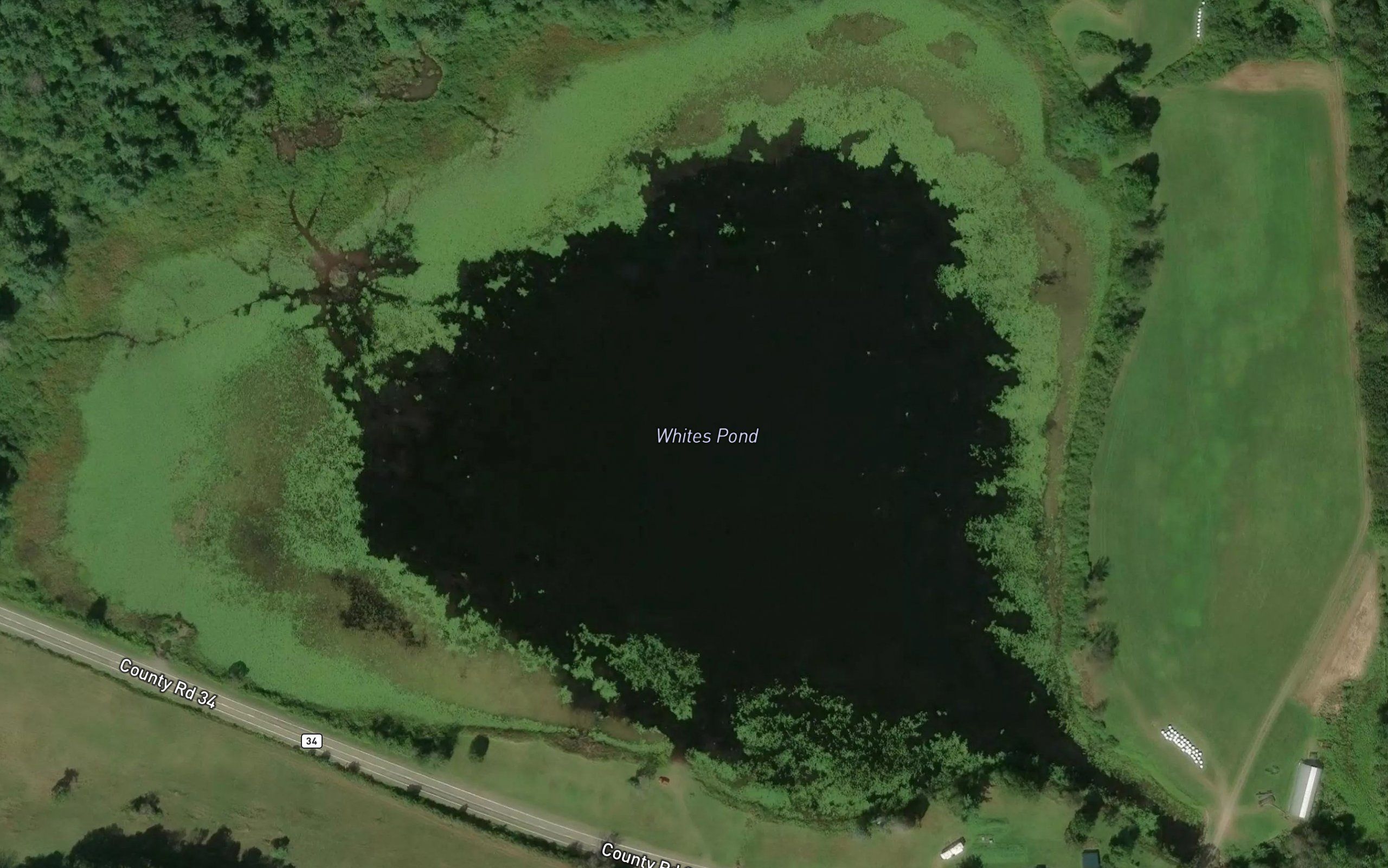 Whites Pond