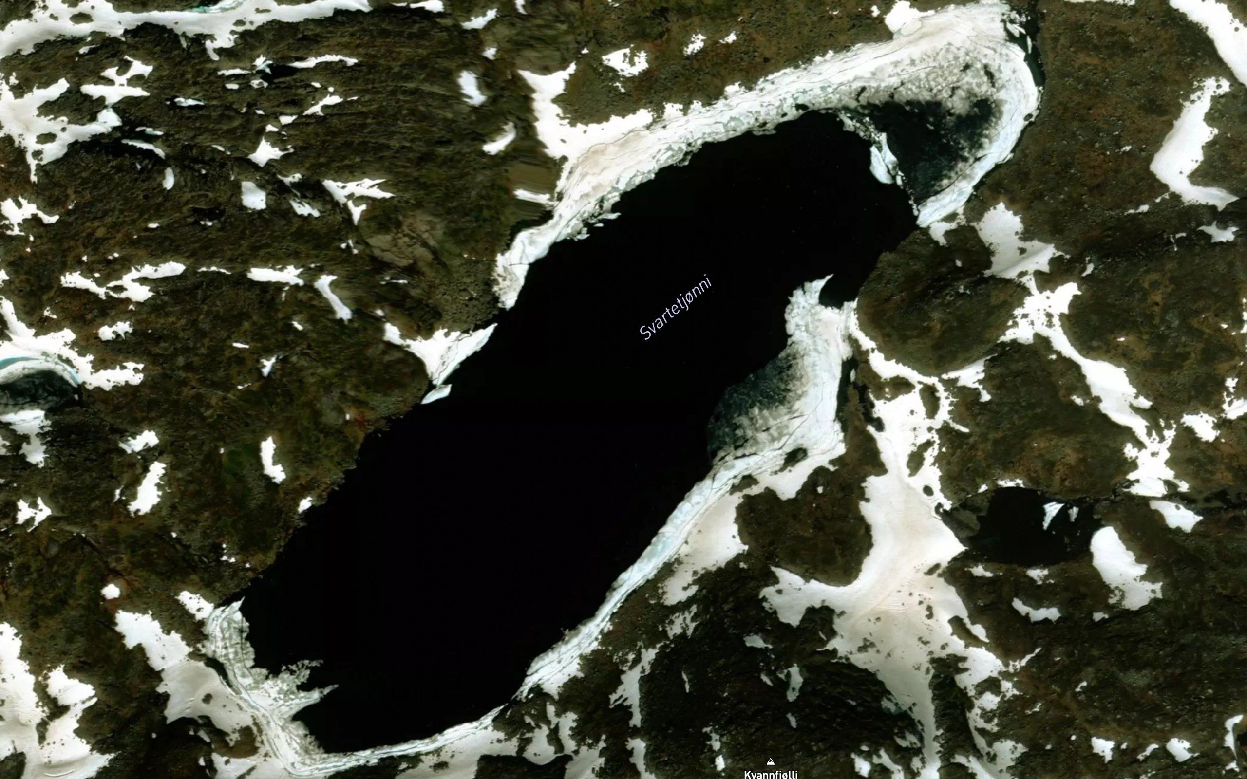 Svartetjorni