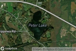 Peter Lake