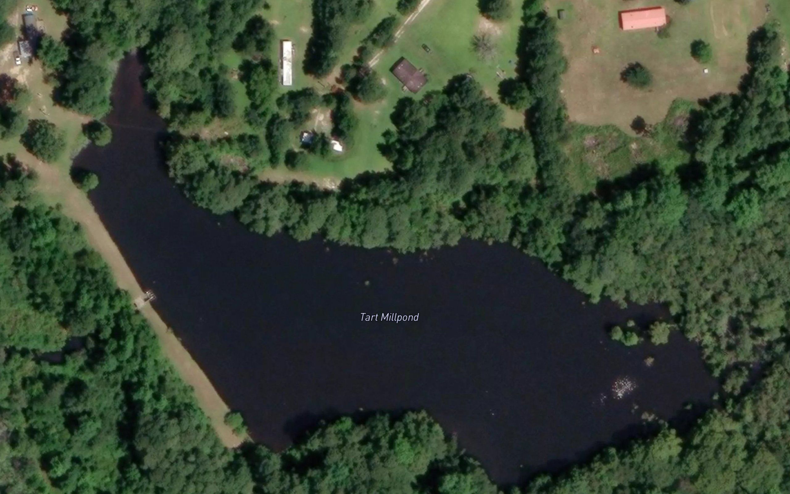 Tart Millpond