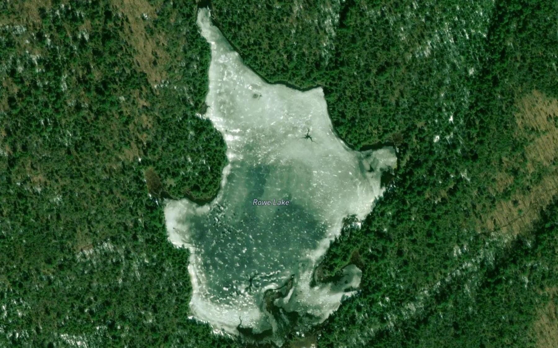 Satellite map of the Rowe Lake