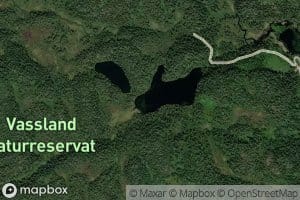 Flegevatn