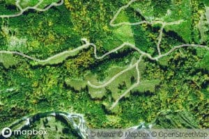 Seedling Creek
