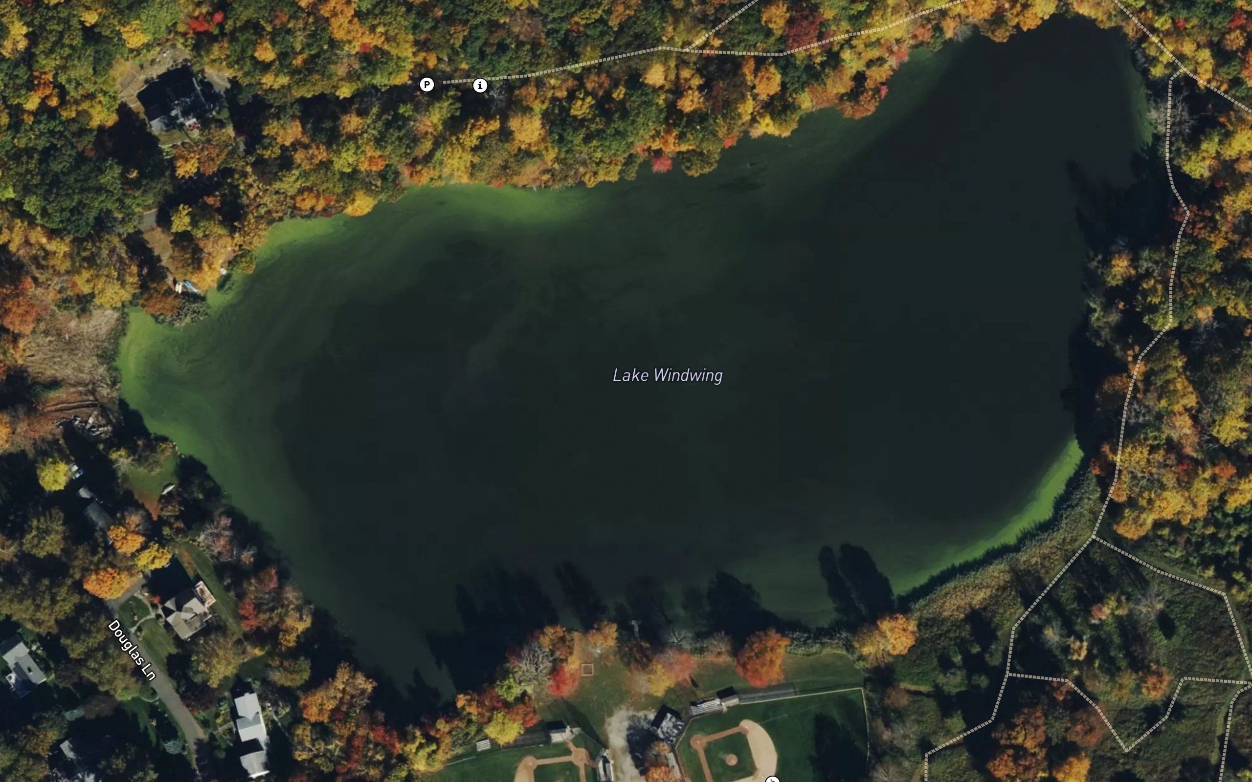 Lake Windwing