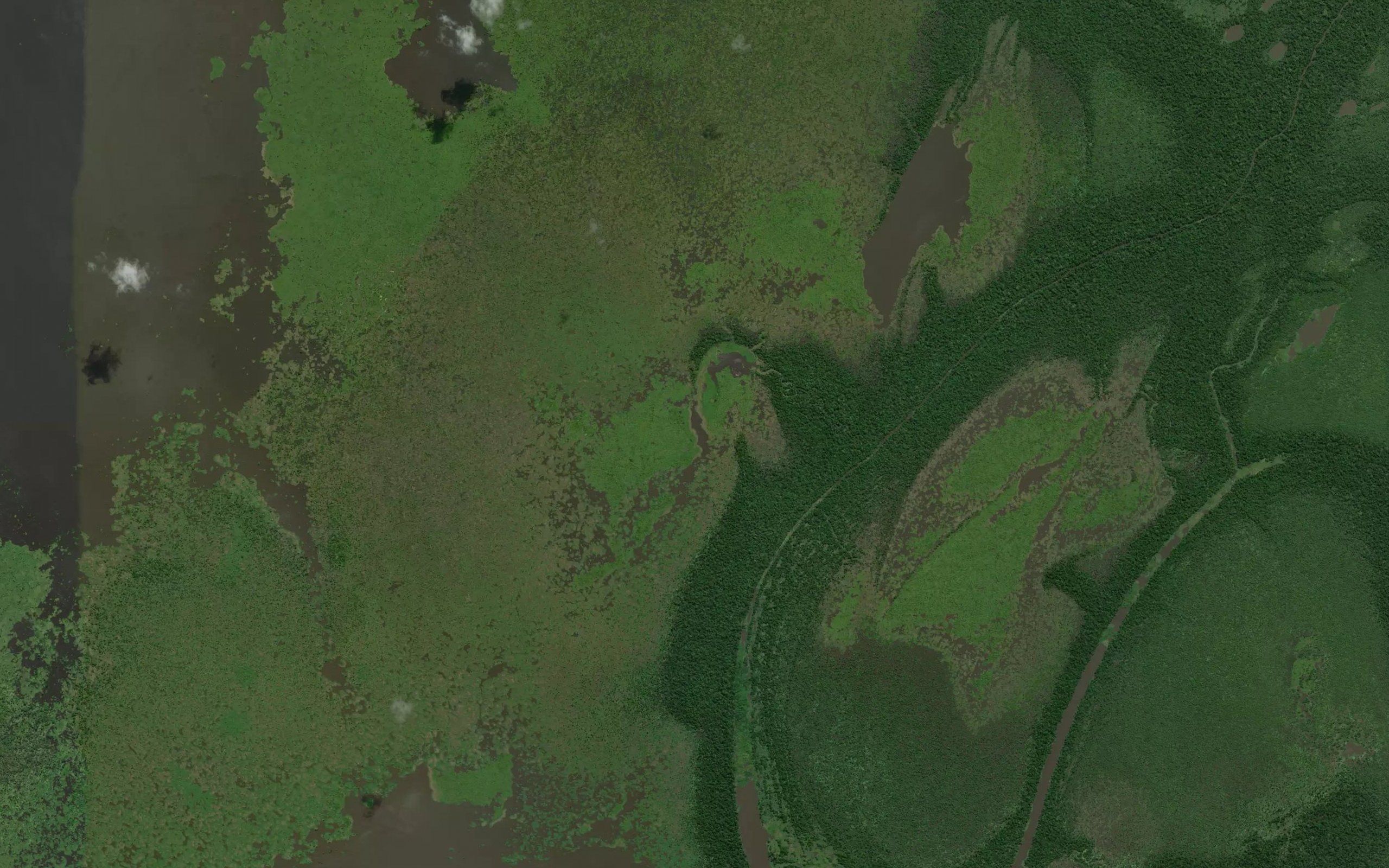 Lago do Cachorro