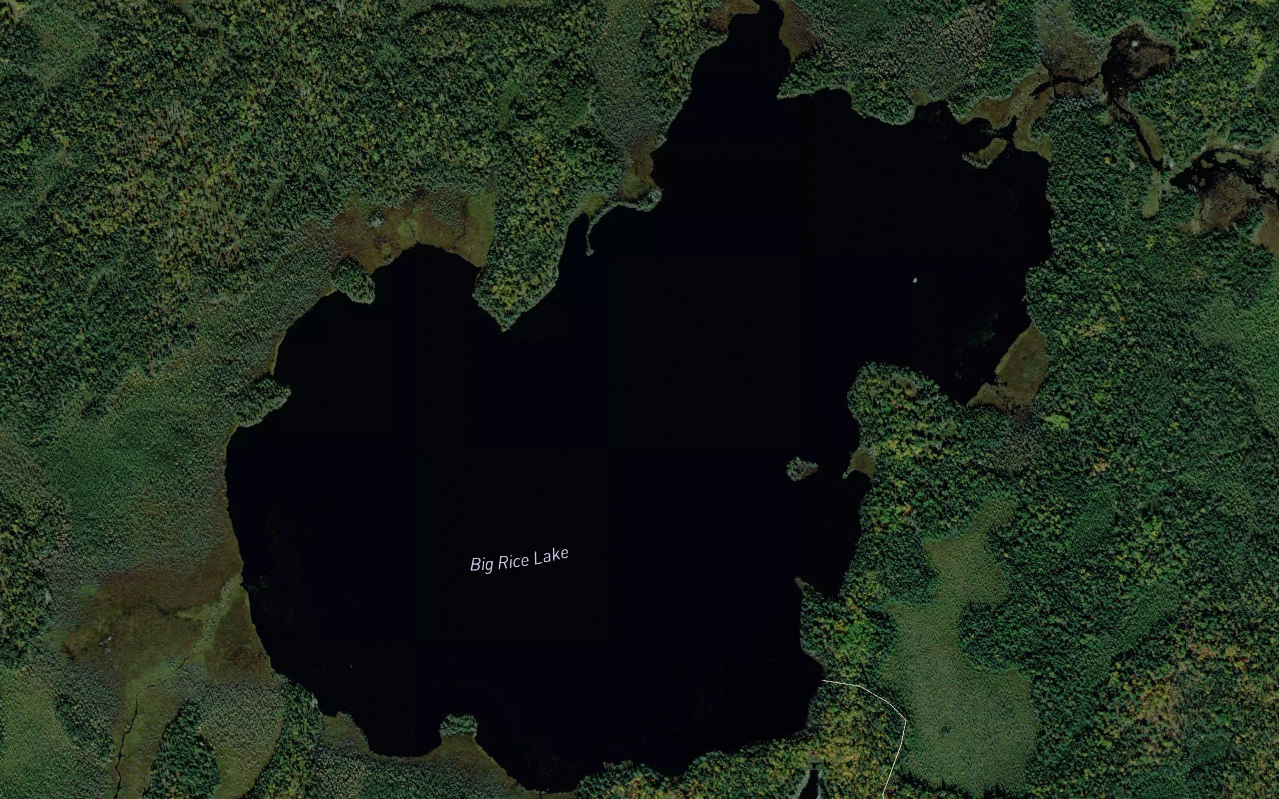 Big Rice Lake